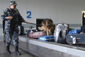 ps_baggage_check_in_the_airport_of_Rostov-on-Don_1409062951.jpg.814x610_q85-300x200
