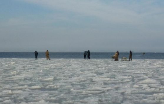 Под Запорожьем на льду дрейфовали 12 рыбаков
