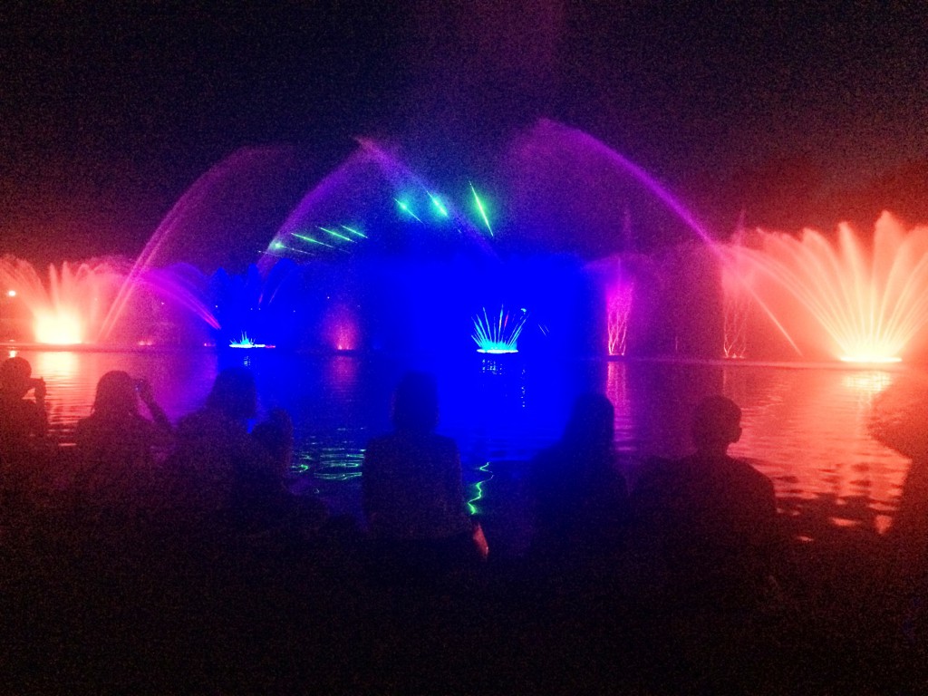 Плавучий свето-музыкальный фонтан ночью