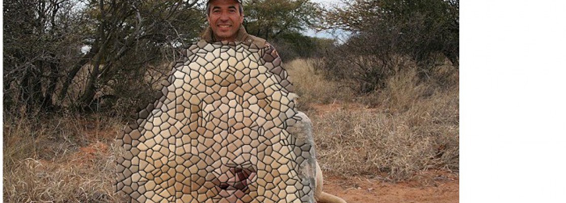 Фактчекинг: Фото Кальцева с убитым львом были сделаны в 2012 году