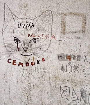 "Уберите дохлого кота, а то я боюсь": какими фразами сводят с ума председателей запорожских ОСМД