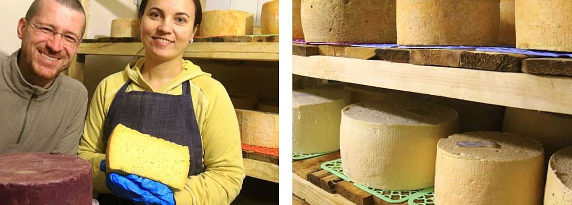 В запорожском селе делают сыр по древним рецептам из швейцарских Альп