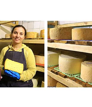 В запорожском селе делают сыр по древним рецептам из швейцарских Альп
