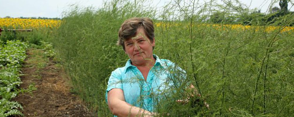 Мастерица из села под Запорожьем получила авторские права на более чем 42 вида салатов