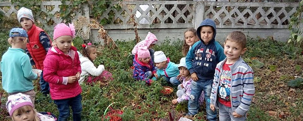 В мелитопольском детсаду воспитатели с детьми вырастили урожай овощей