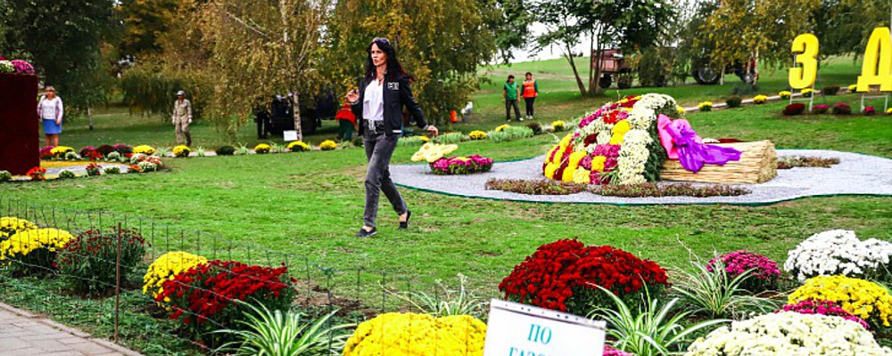 "По газонам не ходить": Вознесеновский парк украсили цветочными композициями (Фото)