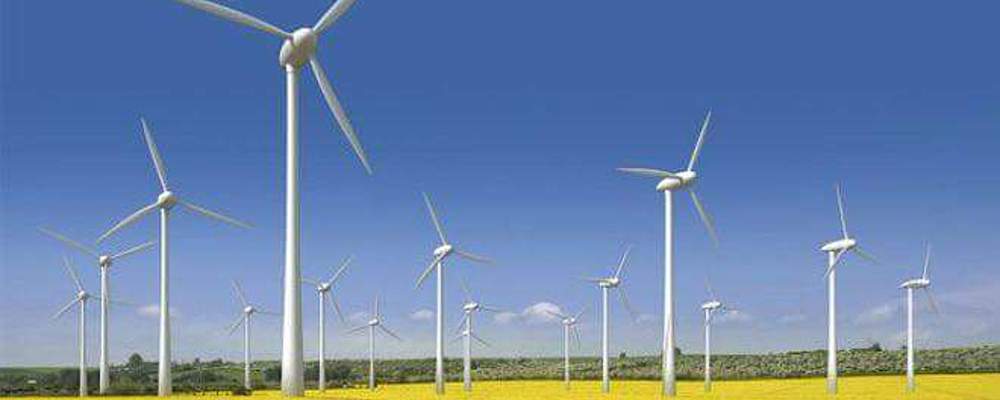 В Запорожской области стартует строительство самой большой в Европе ветровой электростанции 