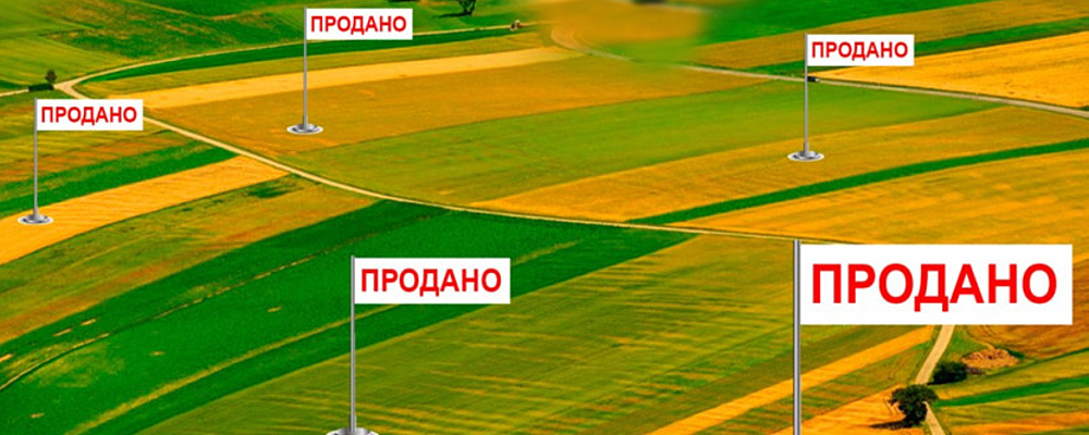  Пять месяцев до старта: сколько будет стоить гектар пая в Запорожской области