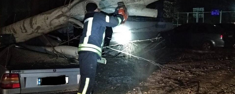 В спальном районе Запорожья тополь упал на авто: водителю переломало ребра