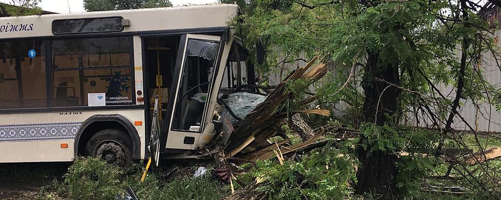 Пассажирский муниципальный автобус влетел в дерево, смяв переднюю часть (Фото)