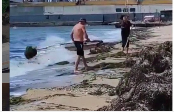 В Бердянске водоросли собирают с пляжа и выбрасывают обратно в море