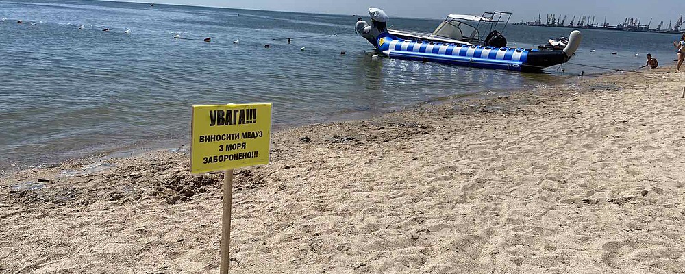 В Бердянске отдыхающим запретили выносить с моря медуз и закапывать