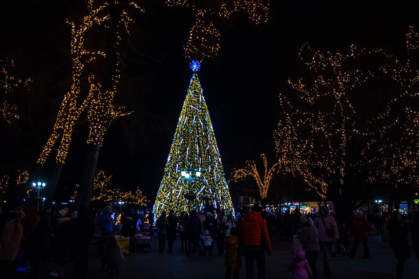 Запорожцы в восторге от главной новогодней елки (Фото)