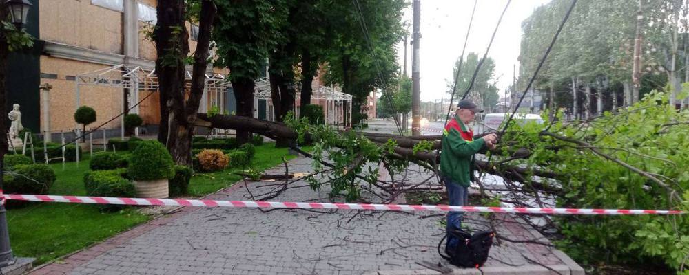 Повалені дерева та зруйновані електромережі: в Запоріжжі ліквідують наслідки негоди