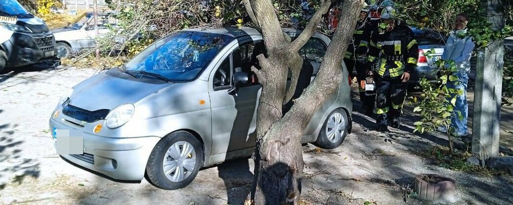 В Запоріжжі через сильний вітер дерево впало на автівку